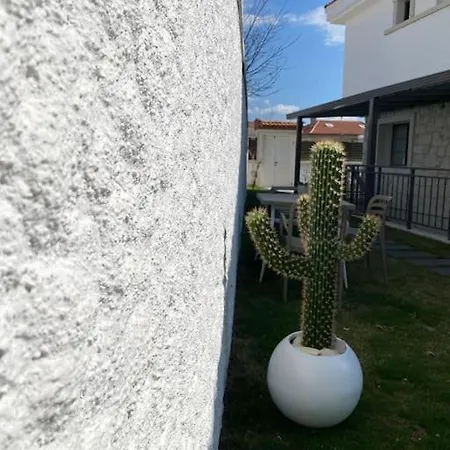 Olea Tas Acelya A4 Konagi Alaçatı
